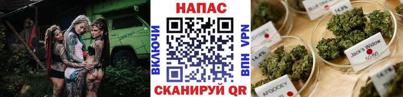Где можно купить наркотики Южа Кокаин  A-PVP  НБОМе  Меф мяу мяу  Канабис 