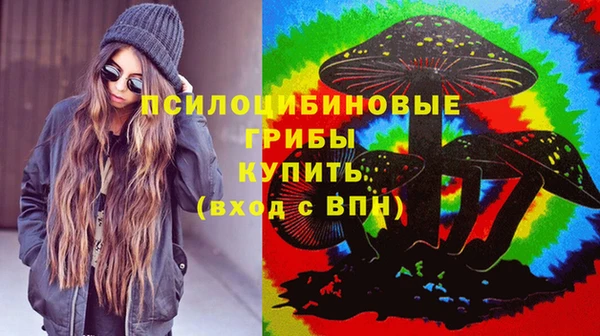 скорость Каменка