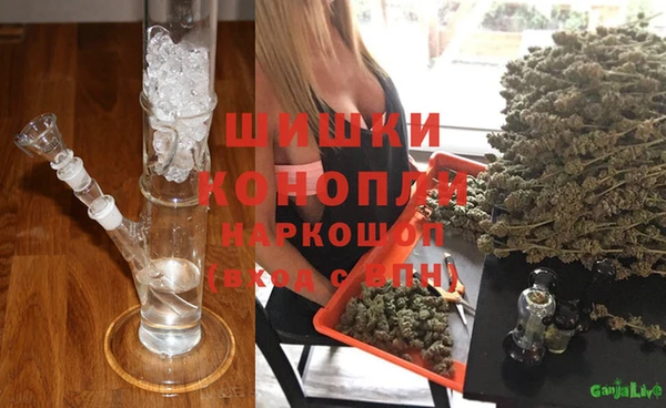 ALPHA PVP Инсар