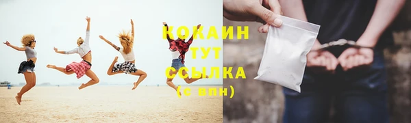 МДПВ Каменногорск