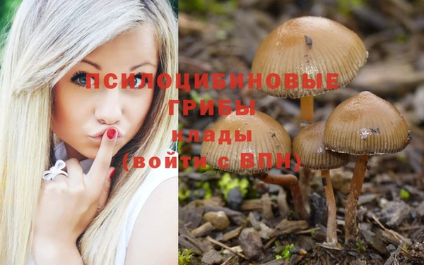 МДПВ Каменногорск