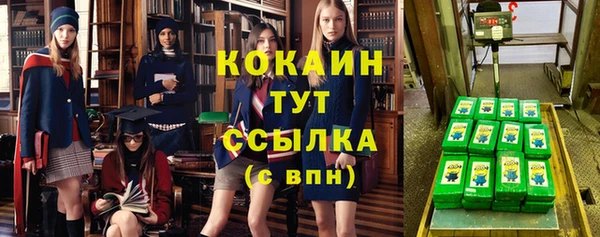 скорость Каменка