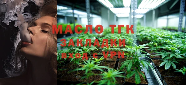 МДПВ Каменногорск