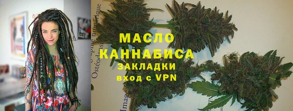 скорость Каменка