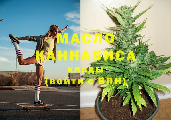 скорость Каменка