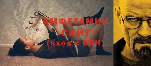ALPHA PVP Инсар