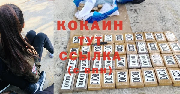 ALPHA PVP Инсар