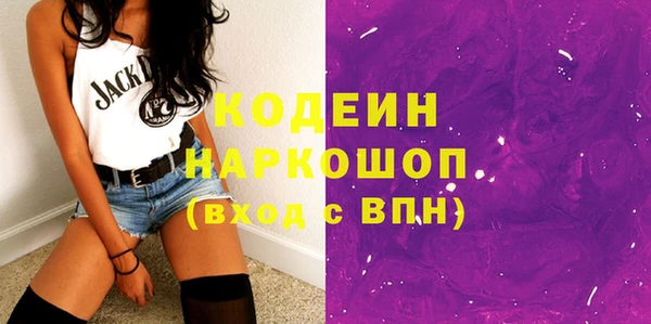 скорость Каменка