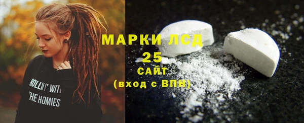 скорость Каменка