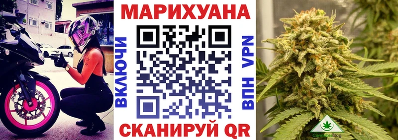 Бошки Шишки гибрид  купить закладку  Южа 